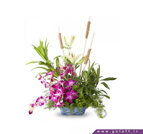 انواع سبد گل طبیعی - سبد گل لیندا - Linda | گل آف