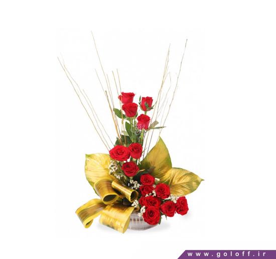 سبد گل کوچک - سبد گل رز هلندی ماریانا - Mariana | گل آف