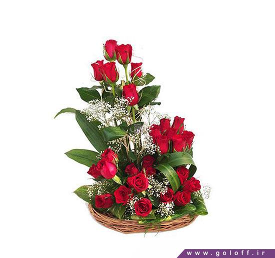 تزیین سبد گل طبیعی - سبد گل رز ماتیاس - Matias | گل آف