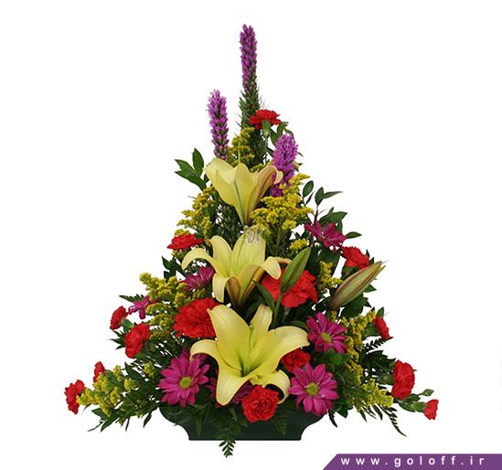 سبد گل برای تولد - سبد گل کارتاخنا - kartakhna | گل آف