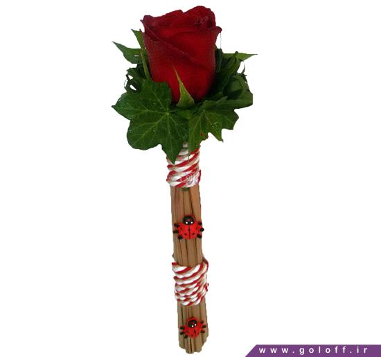 عکس عاشقانه گل رز - گل تک شاخه کریستینا - Krystyna | گل آف