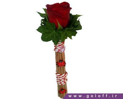 عکس عاشقانه گل رز - گل تک شاخه کریستینا - Krystyna | گل آف