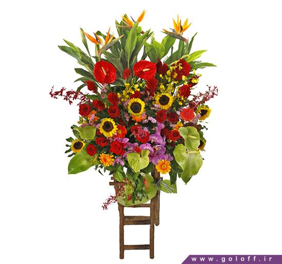 مدل تاج گل - تاج گل سَن رامون - San Ramón | گل آف