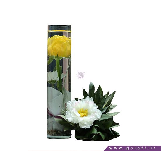 تراریوم رز گل - Terrarium | گل آف