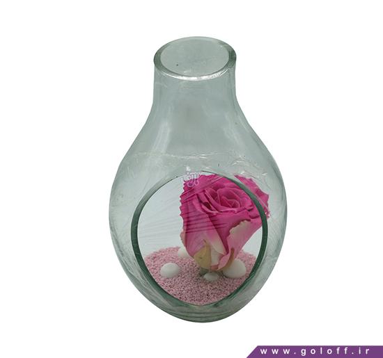 گل روز مادر - تراریوم ریتا - Terrarium | گل آف