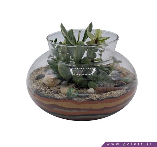 سفارش آنلاین گل - تراریوم جالینوس - Terrarium | گل آف